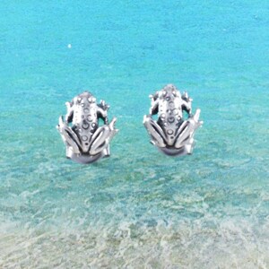May include: A pair of silver frog stud earrings. The frogs are facing forward with their legs outstretched. The earrings are set against a blue and white background.