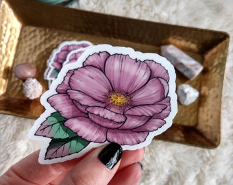 Pink Wild Rose Sticker