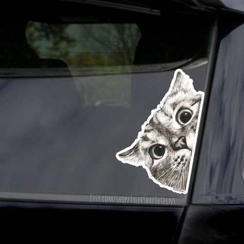 Cat Meow Cat Lovers Decal Sticker JDM Funny Vinyl Car Window Bumper Truck 12" 
