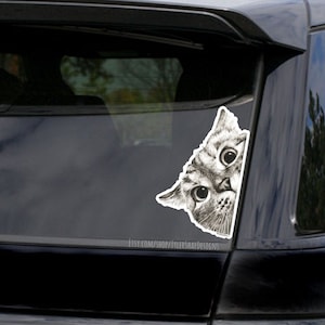 Funny Cat vinyl sticker, peeking cat car decal, bumper stickers, cat gift, cat lover gifts, cat stickers, crazy cat lady gift, Cat dad