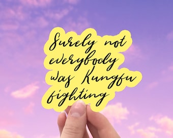 Surely not everybody was Kung Fu Fighting vinyl sticker, funny stickers, laptop stickers, decals, water bottle sticker, bumper sticker