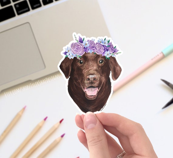 Chocolate lab decal Outlet