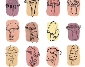 Estudio de hongos sobre muestras de colores cálidos Descarga digital imprimible