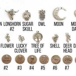 May include: Assortment of silver charm pendants with various designs, including a cactus, flower, lucky clover, tree of life, shell, deer head, dachshund, longhorn, skull, owl, moon, and mother and daughter heart.  Also included are eight round silver charms with various inspirational messages.