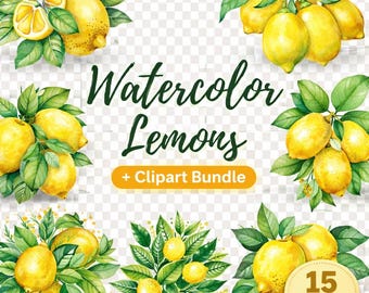 Watercolor Lemon Clipart Bundle, Fruit PNG Graphics, Lemon Twig Designs
