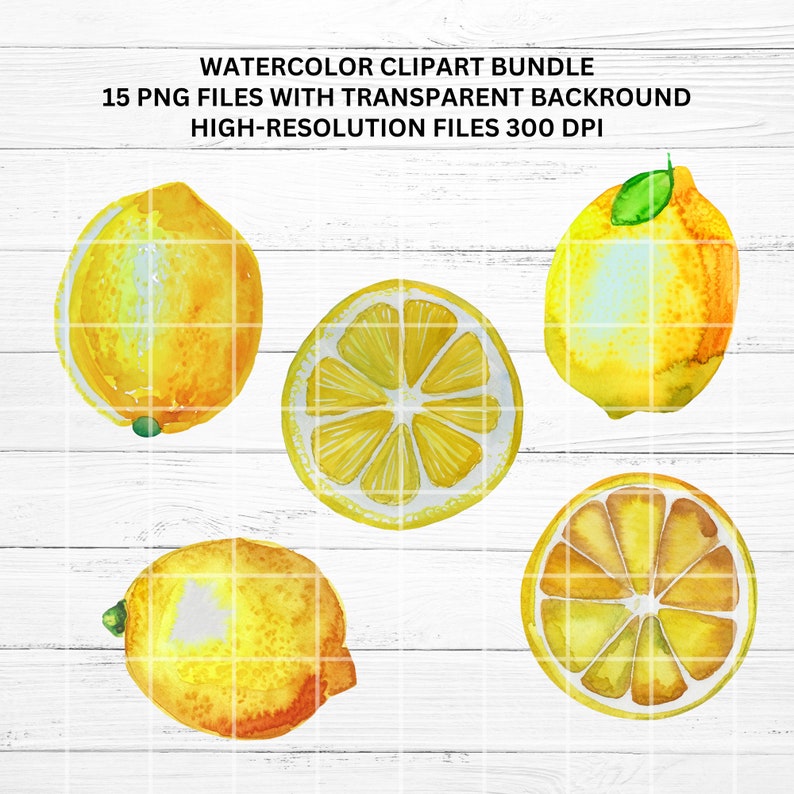 Watercolor Lemon Clipart Bundle, Fruit PNG Graphics, Lemon Twig Designs ...