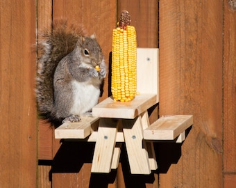 May include: A gray squirrel eating corn on a miniature wooden picnic table feeder attached to a brown wooden fence. The feeder has a backrest and two side benches. A full ear of yellow corn sits on the table.