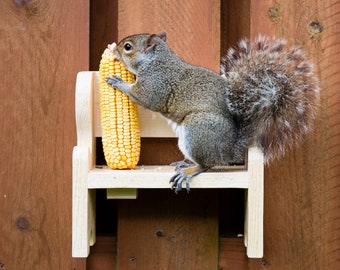 Bench Squirrel Feeder, Garden and Backyard Decor