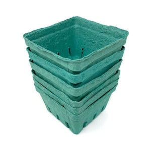 May include: Stack of four teal green paper pulp berry baskets. The baskets are square with a scalloped edge and have small holes in the bottom for drainage.