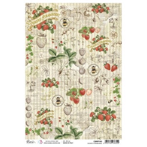 Country Strawberries Aesop's Fables Ciao Bella Rice Paper Sheet A4 Aesop's Fables Decoupage Papercraft Scrapbook Mixed Media Art Collage