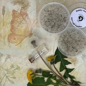 May include: Two clear plastic containers filled with dandelion seeds. The containers are labeled "Hobby-Sew Whimsical Mix and Craft Supplies".  A small glass bottle with a cork stopper and a dandelion stem are also in the image.