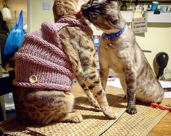 Handgemachter Katzen Pullover (CODE P1)