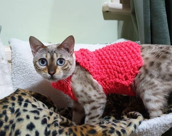 Handgemachter Katzen Pullover (CODE P4)