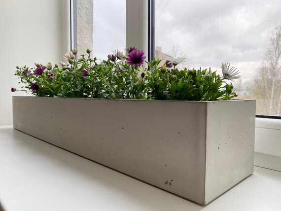 Romanschrijver Gouverneur zout 635 cm lange rechthoekige betonnen plantenbak binnen / buiten - Etsy België