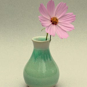 May include: A small, green ceramic vase with a light green and white rim holds a single pink cosmos flower. The vase has a rounded body and a narrow neck. The flower has delicate petals and a yellow centre.