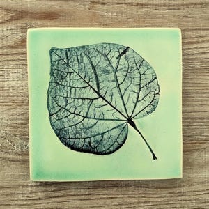 May include: Square ceramic tile featuring a teal green background and a detailed leaf imprint in grey and black. The leaf's veins are clearly visible, creating a natural, botanical design. The tile has a smooth, glossy finish.