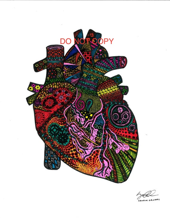 Anatomy Series The Heart Bw Or Color Etsy