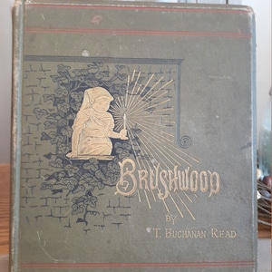 Brushwood T. Buchanan Read 1882 1st EDITION Illustrated