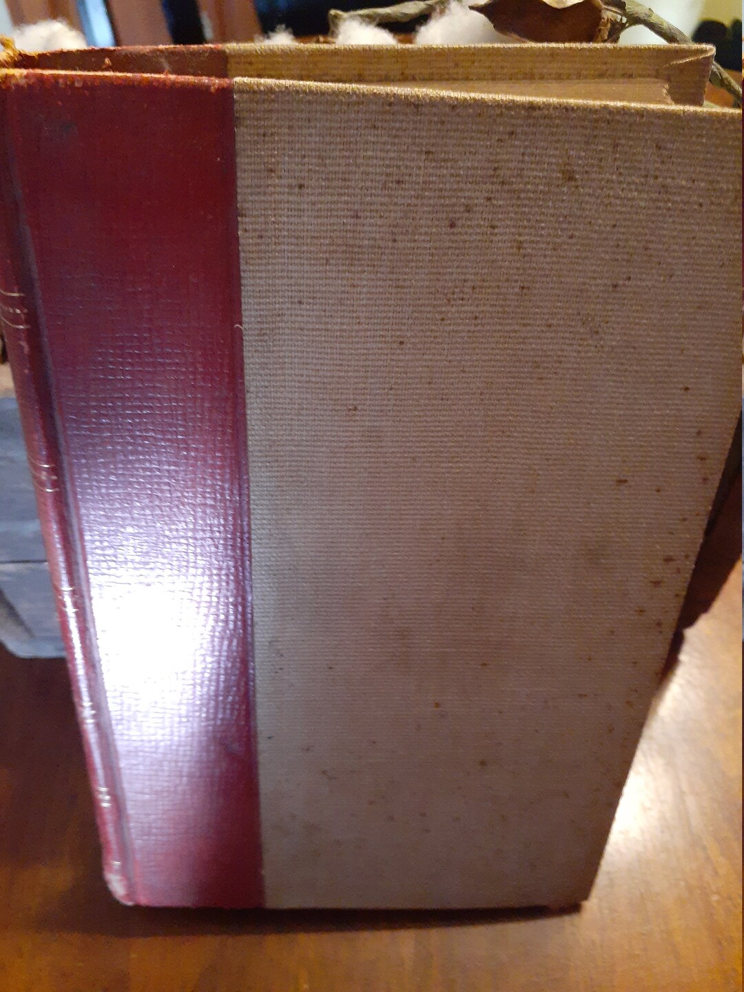 The Lily of the Valley the Country Doctor Honore De Balzac Etsy