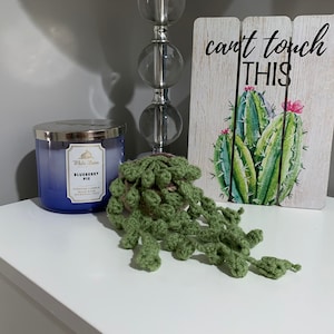 May include: A crocheted succulent plant with long trailing stems in a green color. The plant is sitting on a white surface next to a blue candle and a wooden sign that says "can't touch this".