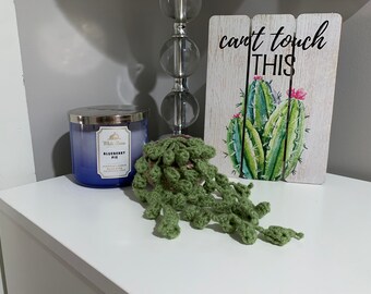 Crochet String of Pearls Succulent Plant