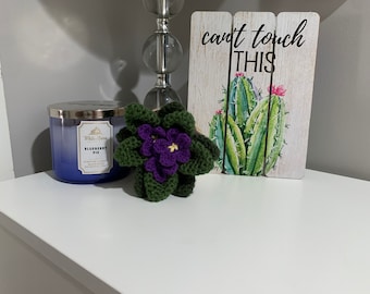 Crochet African Violet Plant