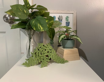 Crochet Fern Plant