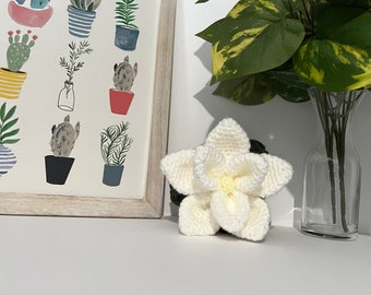 Crochet Magnolia Flower Plant