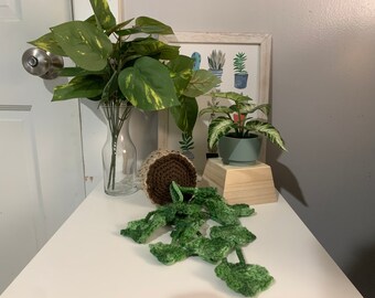Crochet Ivy Vine Plant