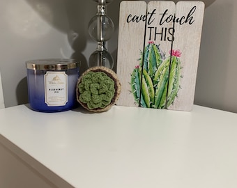 Crochet Succulent Plant