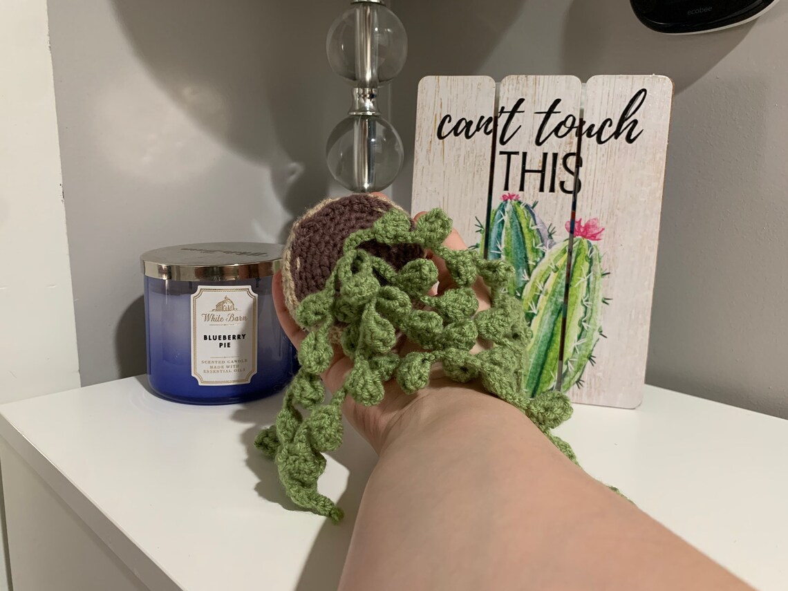 Crochet String of Pearls Succulent Plant Etsy