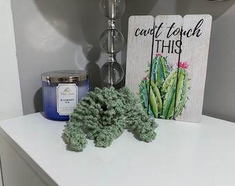 Crochet Vine Succulent Plant