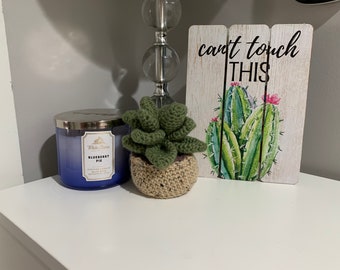 Crochet Succulent Plant