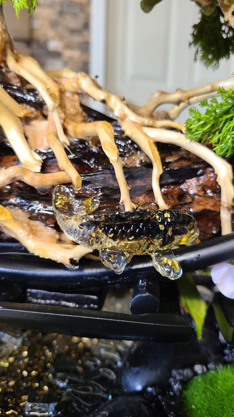 May include: A close-up of a bonsai tree with exposed roots and a small, clear, decorative fish with gold flakes inside. The fish is resting on a dark, textured surface, with green foliage in the background.