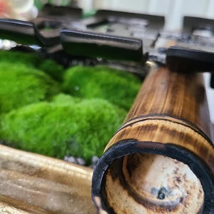 May include: Close-up of a bamboo tube with a charred rim, set against a backdrop of vibrant green moss. The bamboo has a natural wood grain and is partially inside a gold-colored tray. Decorative floral elements are visible in the background.