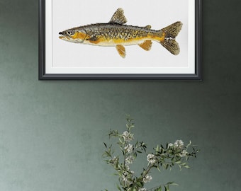 Fish Cross Stitch Pattern, Rainbow Trout Cross Stitch Design, Realistic Fish Cross Stitch Pattern, Instant Download PDF, Counted Chart
