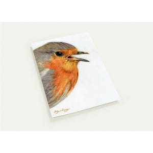 Lot de 10 cartes de voeux - Portraits d'oiseaux de jardin réalistes au crayon de couleur.