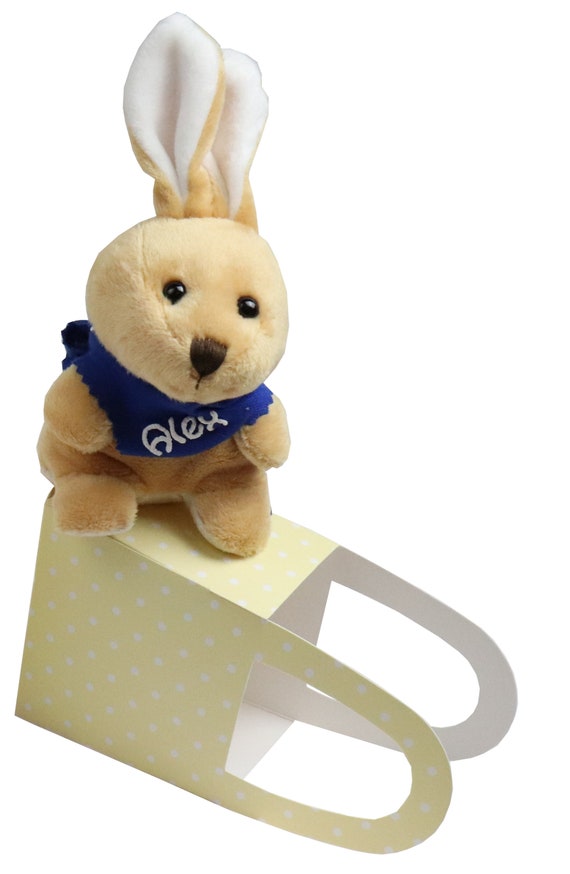 Lapin câlin nettoyeur d'écran avec nom & petit sac Cadeau de Pâques Cadeau  pour Pâques peluche peluche lapin peluche personnalisé -  France