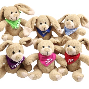 Kuschelhase mit Namen Kuscheltier Hase personalisiert Personalisiertes Kuscheltier Ostergeschenk Geschenk zu Ostern Stofftier Bild 1