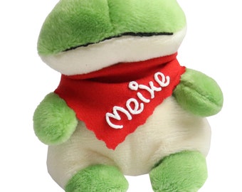 Screen cleaner frog green with name on the scarf - bottom made of microfiber - Personalized gift idea with desired name