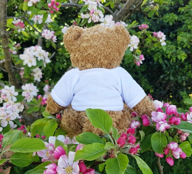 bearded dragon teddy bear