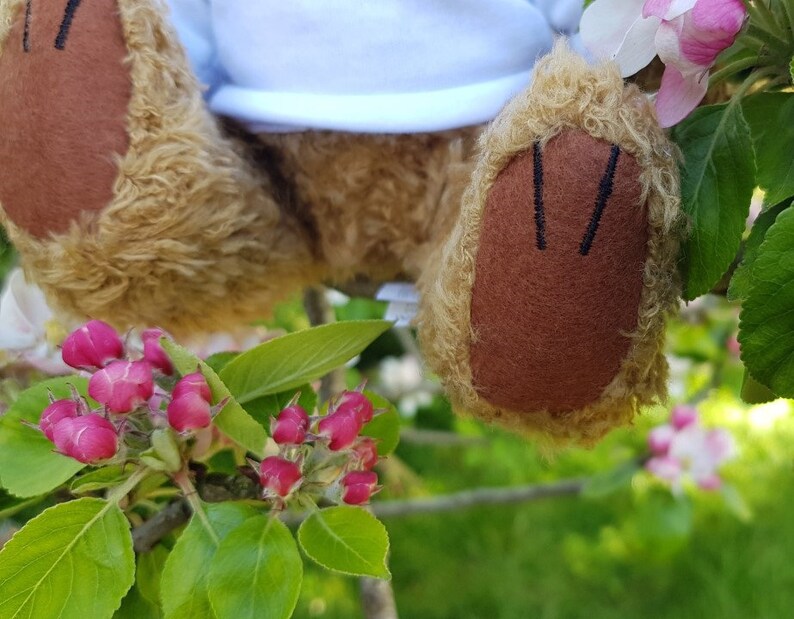 bearded dragon teddy bear