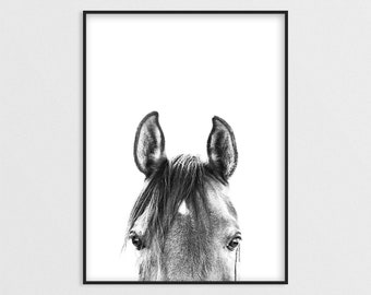 Peekaboo Horse Print, Horse Photo Poster, Equestrian Print, Black and White, Western Decor, Nursery Printable, BW Wall Art, Digital Download