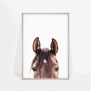 Horse Photography Print, Southwest Decor, Equestrian Print, Peekaboo Horse Poster, Printable Art, Nursery, Kids Room Decor, Digital Download