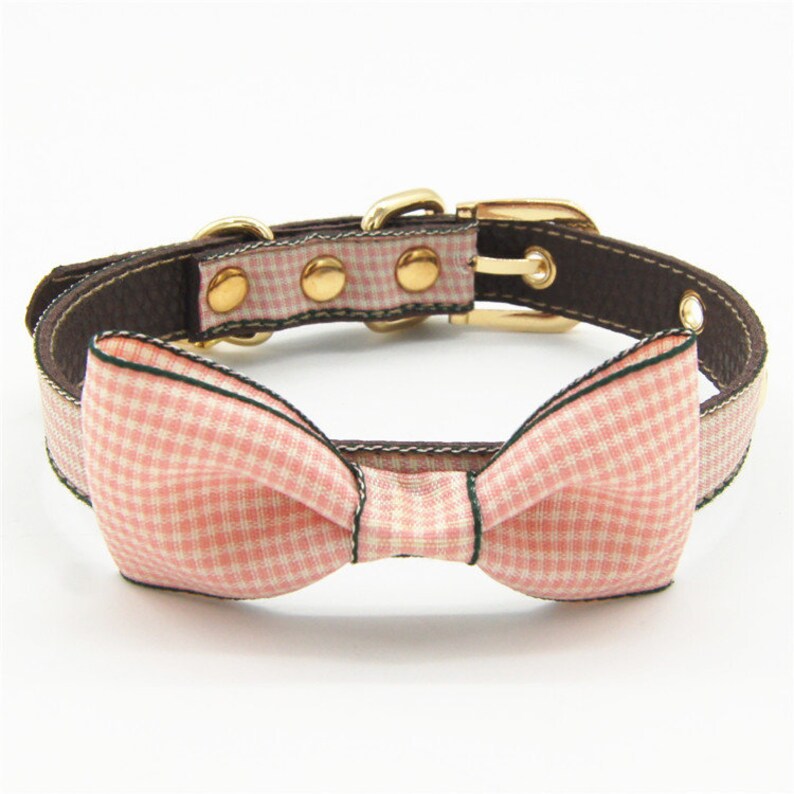 Dog Collar and Leash Set Cut Pets Accessories Handmade C205 Etsy