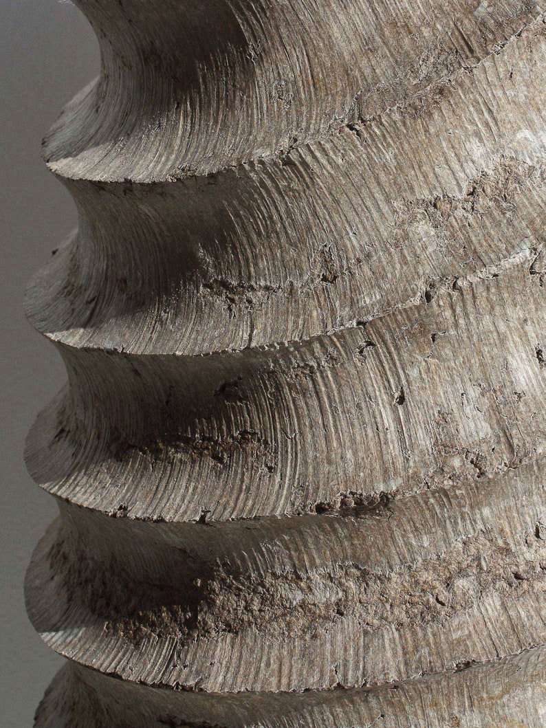 Sculptural vase image 4