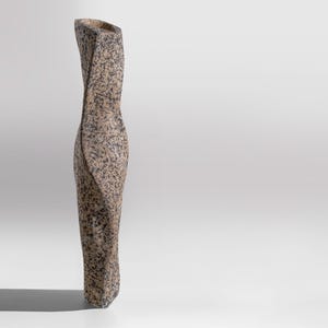 Vaso scultoreo alto e contorto RAWLINE, vaso da pavimento brutalista effetto cemento, opera d'arte testurizzata realizzata a mano. immagine 3
