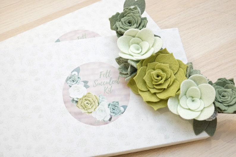 Felt Succulent Kit DIY Felt Flowers Craft Kit for Adults Etsy