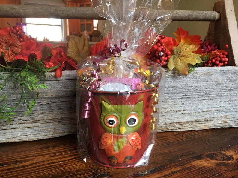 Chocolate Owl Flower Pot Gift Basket Thanksgiving Gifts Etsy