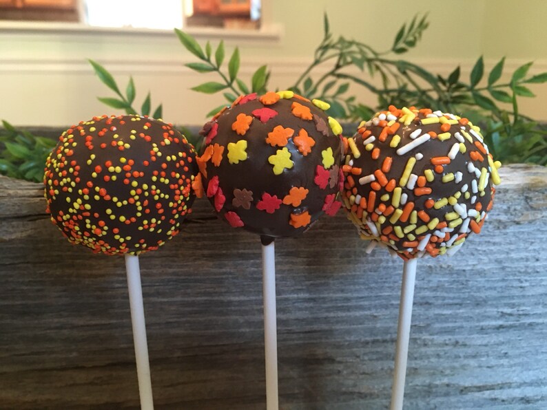 Fall Cake Pops Thanksgiving Cake Pops Assorted Fall Cake Etsy